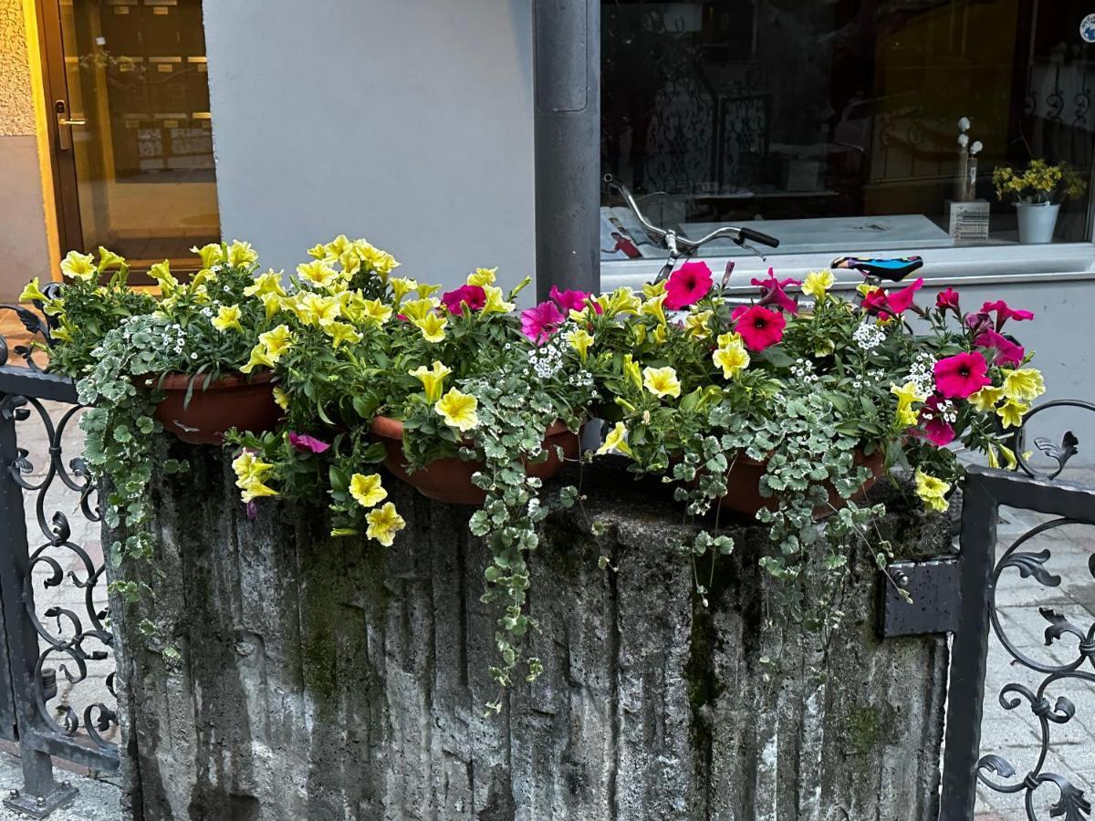 Haus Floralp Daire Zermatt Dış mekan fotoğraf